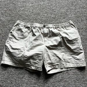 Chubbies Original Stretch Shorts